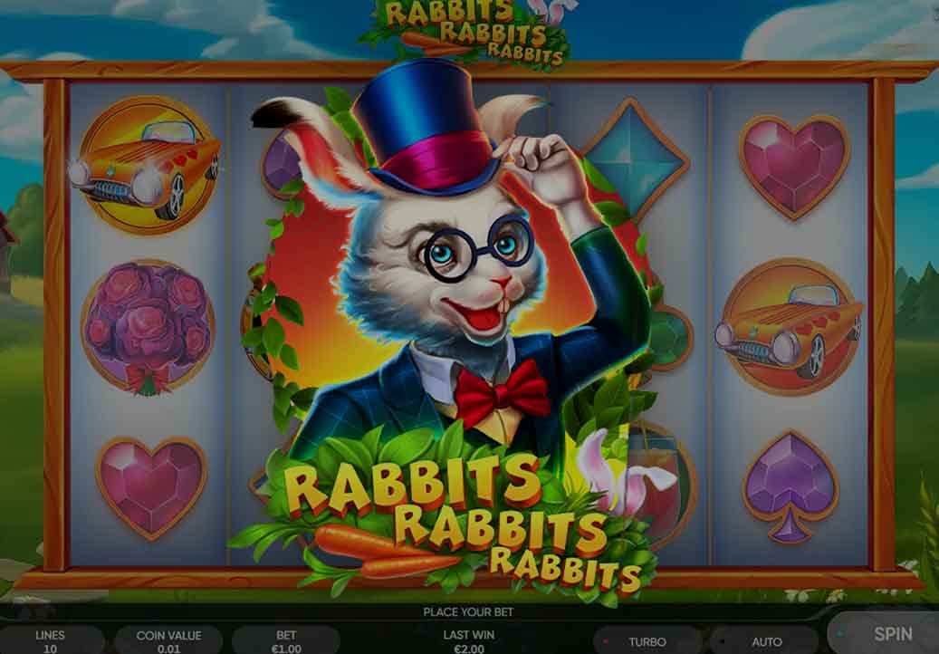 Rabbits Rabbits Rabbits